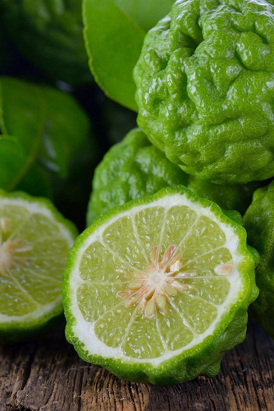 BERGAMOT