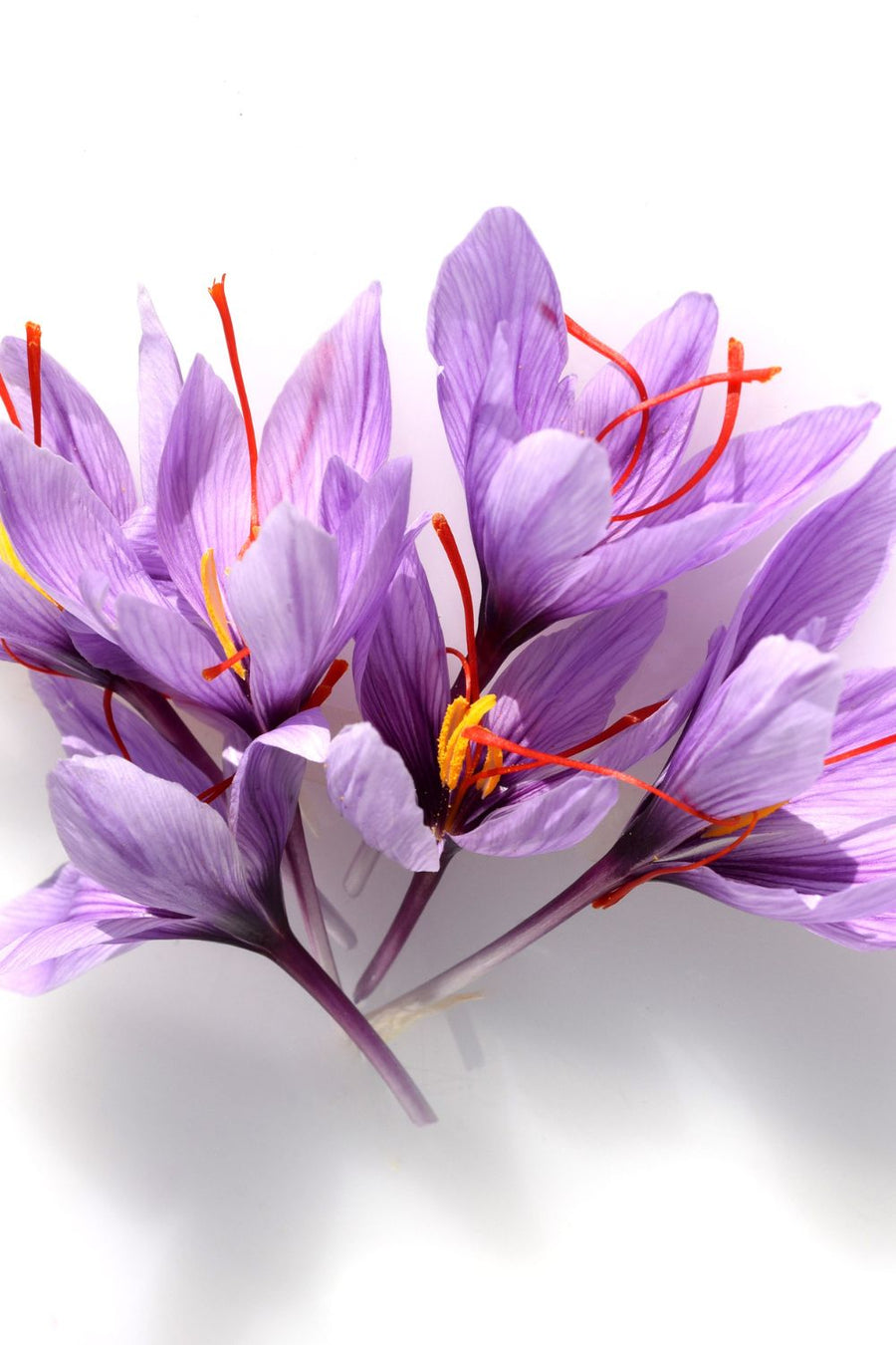Saffron
