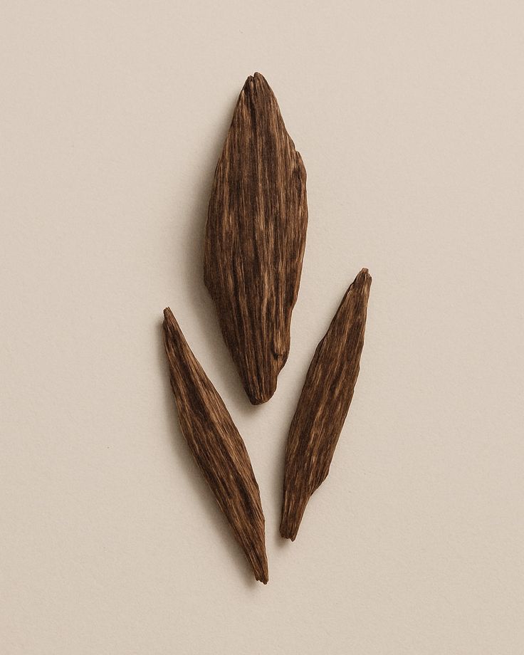 OUD