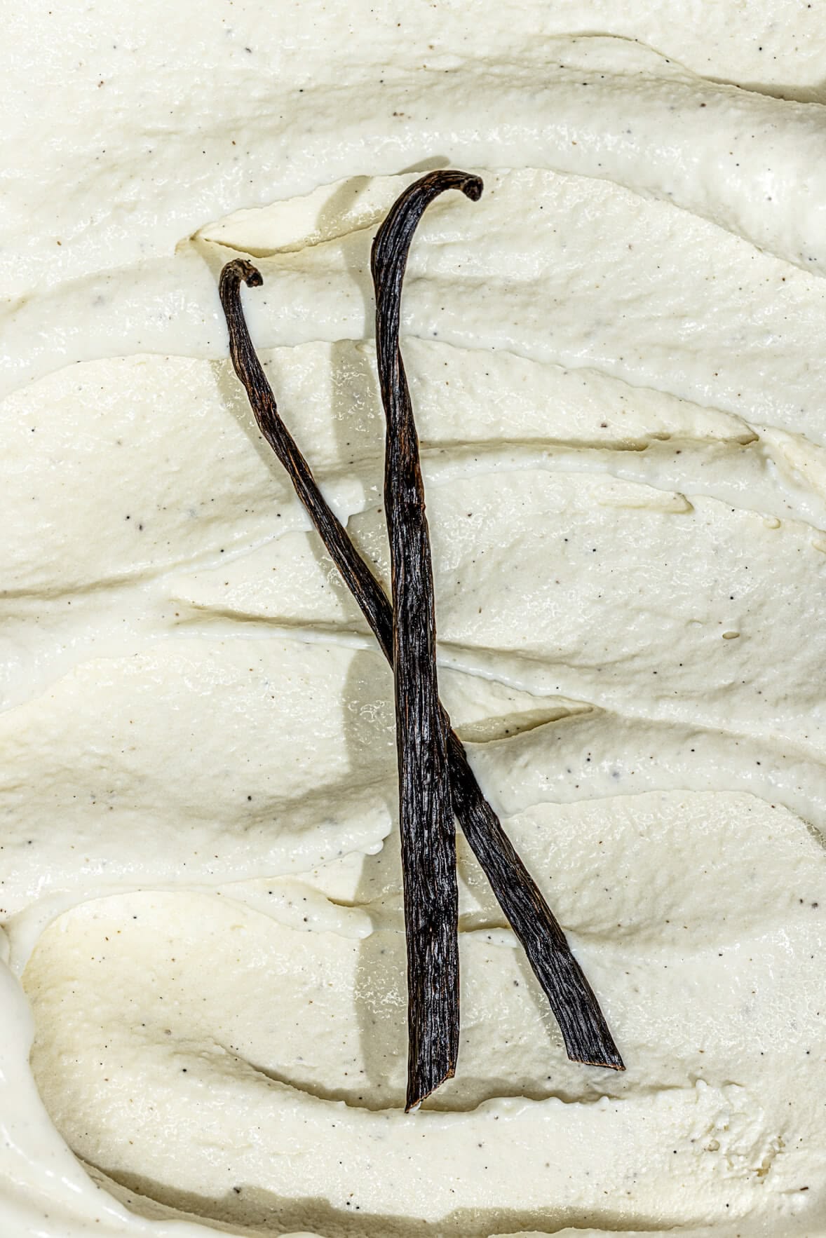 VANILLA ABSOLUTE