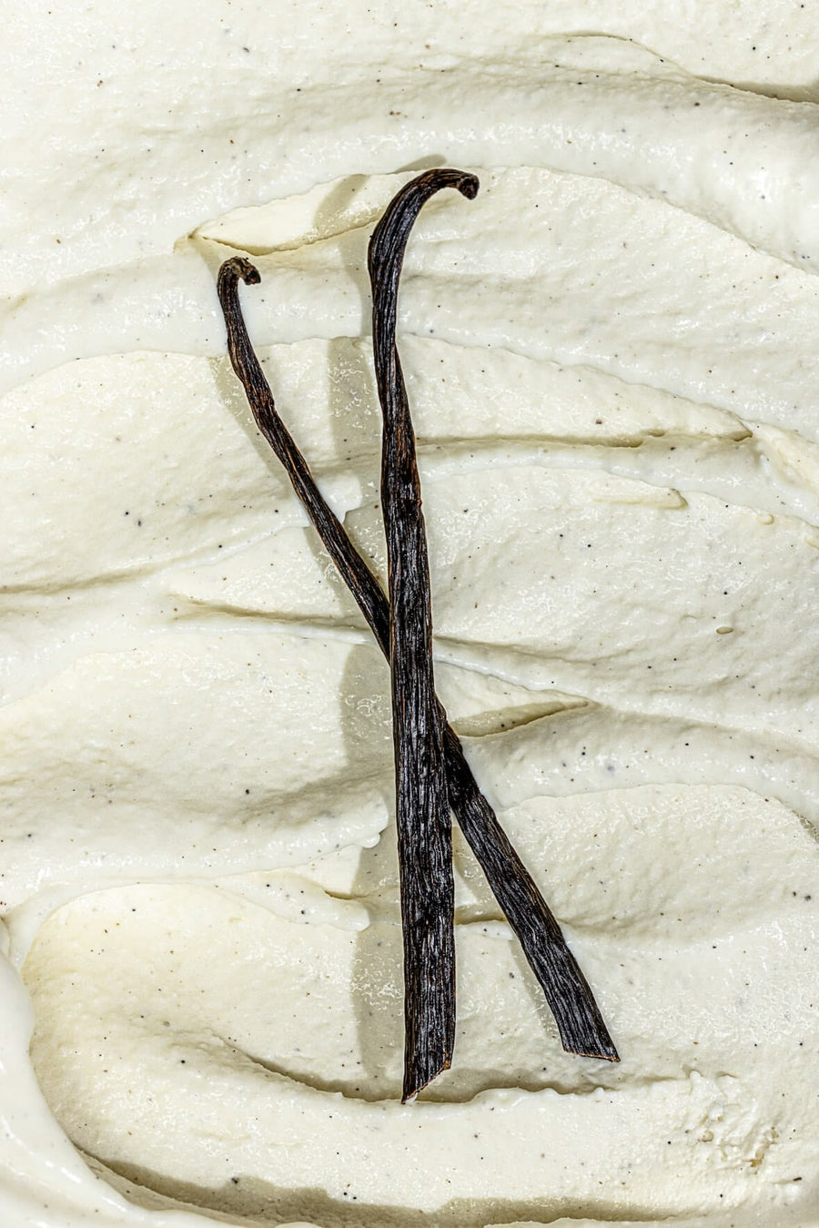 VANILLA ABSOLUTE